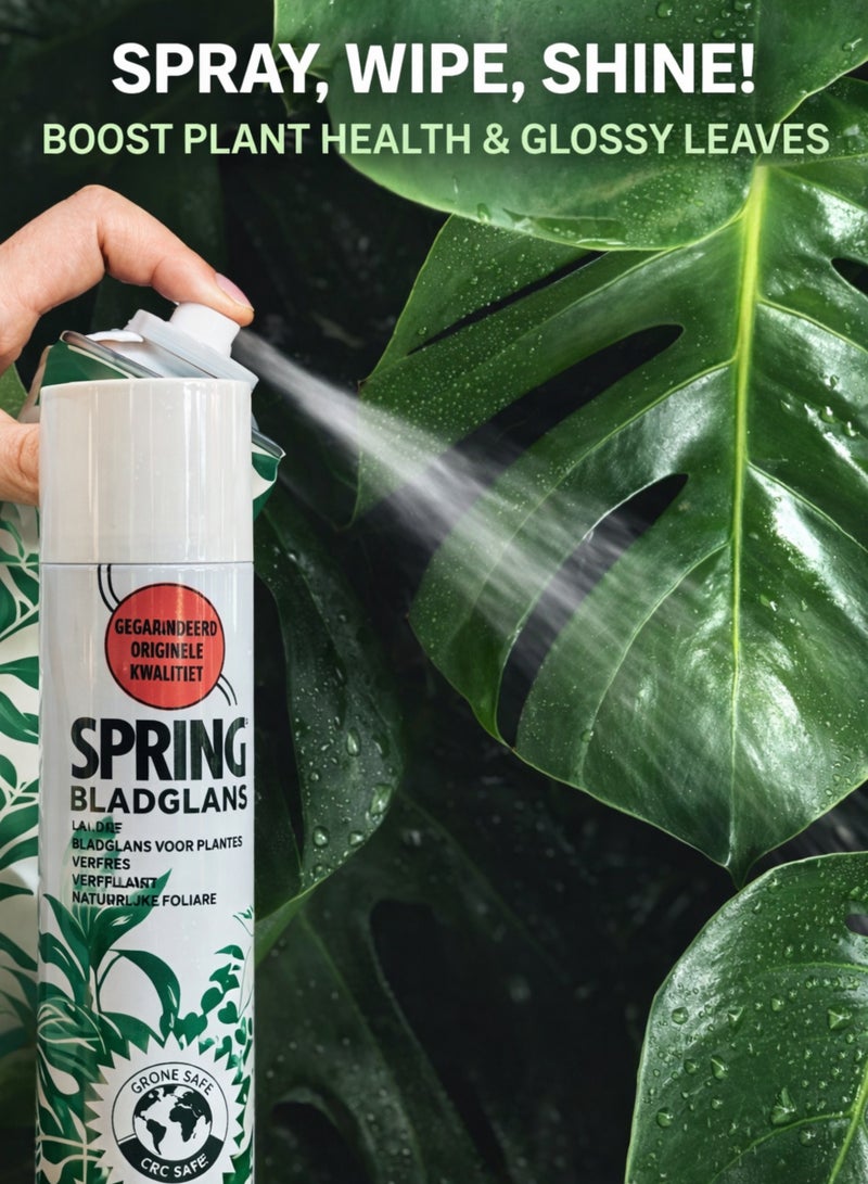 سبرينغ بخاخ تلميع أوراق نبات بلادغلانس الربيعي 600 مل - صنع في هولندا | بخاخ تلميع للنباتات الداخلية والخارجية | آمن على طبقة الأوزون وخالٍ من مركبات الكلوروفلوروكربون | ملمع أوراق مضاد للغبار لإضفاء لمعان طبيعي - Image 3