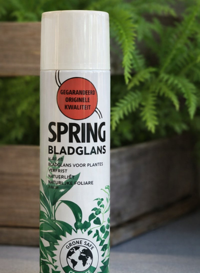 سبرينغ بخاخ تلميع أوراق نبات بلادغلانس الربيعي 600 مل - صنع في هولندا | بخاخ تلميع للنباتات الداخلية والخارجية | آمن على طبقة الأوزون وخالٍ من مركبات الكلوروفلوروكربون | ملمع أوراق مضاد للغبار لإضفاء لمعان طبيعي - Image 4