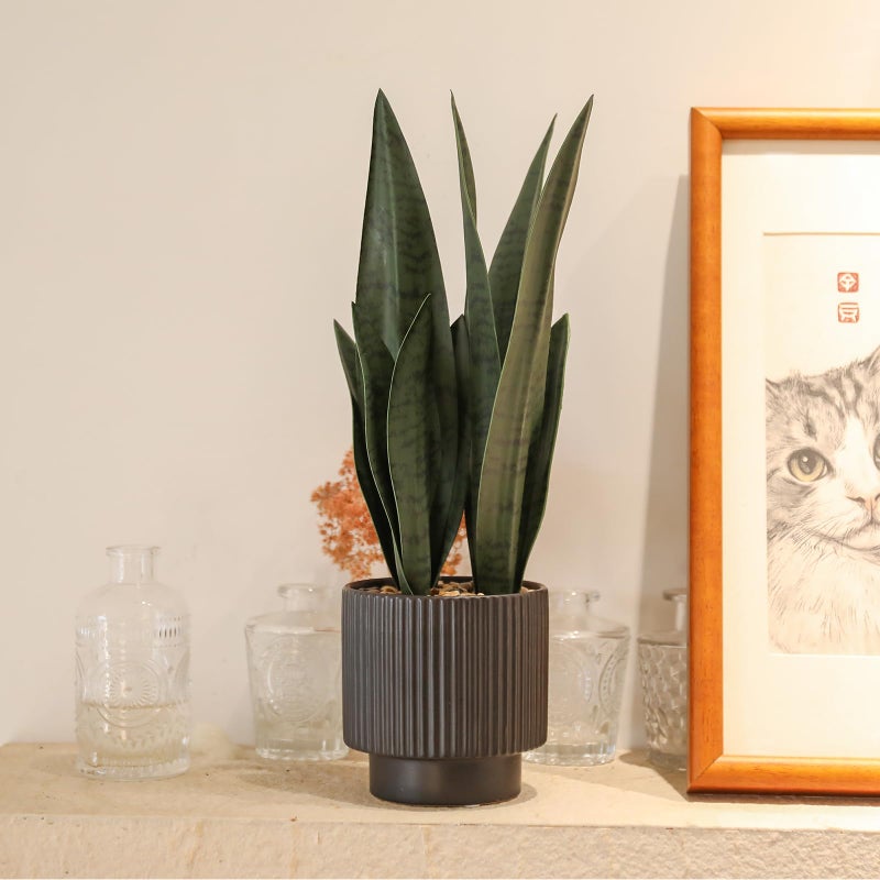 Chonsun Artificial Plants Sansevieria Snake Plant with Black Ceramic Pot Desk Small Fake Plant for Indoor Living Room Kitchen Bathroom Farmhouse Home Decor - Image 2