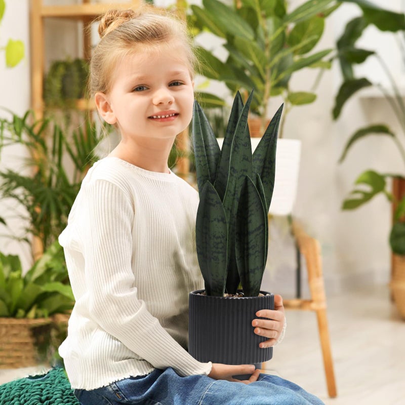 Chonsun Artificial Plants Sansevieria Snake Plant with Black Ceramic Pot Desk Small Fake Plant for Indoor Living Room Kitchen Bathroom Farmhouse Home Decor - Image 5