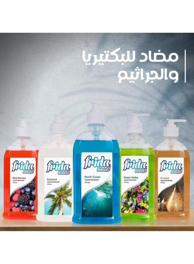 Frida Hands oriental Liquid Hand Wash 2 Pieces 520 ml - Image 3