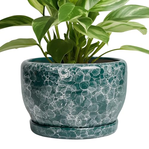 SQOWL 8 Inch Plant Pot - Ceramic Planter for Indoor Plants, Decorative Flower Pot with Drainage Hole and Saucer, Round Planter Outdoor, Room Patio Decor, Garden Gifts for Women, Green - Image 1