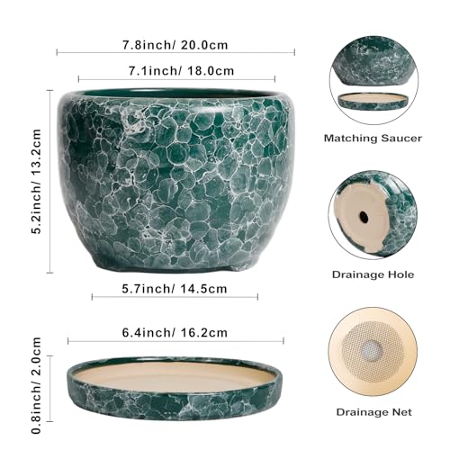 SQOWL 8 Inch Plant Pot - Ceramic Planter for Indoor Plants, Decorative Flower Pot with Drainage Hole and Saucer, Round Planter Outdoor, Room Patio Decor, Garden Gifts for Women, Green - Image 3