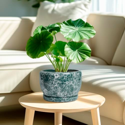SQOWL 8 Inch Plant Pot - Ceramic Planter for Indoor Plants, Decorative Flower Pot with Drainage Hole and Saucer, Round Planter Outdoor, Room Patio Decor, Garden Gifts for Women, Green - Image 2