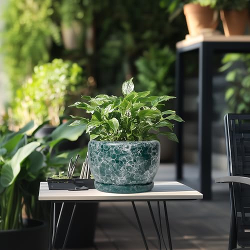SQOWL 8 Inch Plant Pot - Ceramic Planter for Indoor Plants, Decorative Flower Pot with Drainage Hole and Saucer, Round Planter Outdoor, Room Patio Decor, Garden Gifts for Women, Green - Image 5