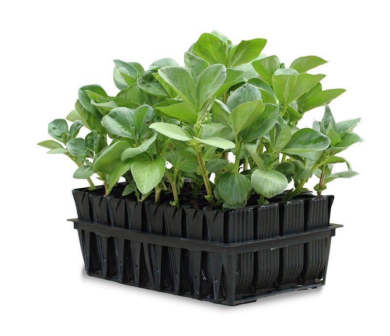 Tierra Garden Tierra Garden 509000 Haxnicks Rootrainers Seed and Cutting Propagation Kit  Deep  - Image 1