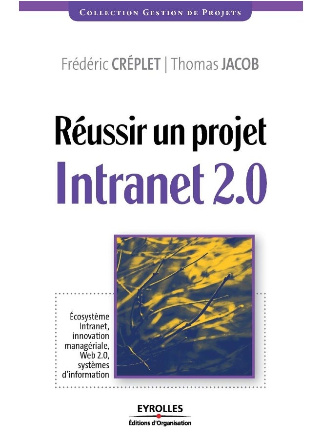Réussir un projet Intranet 2.0: Ecosystème Intranet, innovation managériale, Web 2 