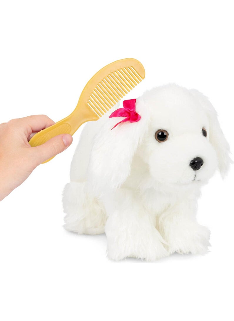 Pucci Pups Maltese  - Image 4