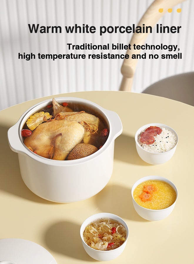 ZOLELE Multi-Function Electric Stew Pot – Versatile Cooking for Soups, Stews, Porridge, and More with Advanced Heat Control, Energy-Efficient Design, and Compact Household Size ES101- White - Image 4