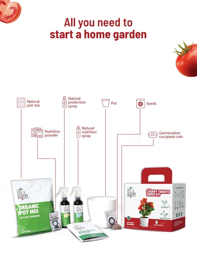 POT & BLOOM Pot and Bloom Gardening Kit - Cherry Tomato Kit. Perfect for Home Garden, Includes - Seeds, Garden Pot, Potting Mix, Nutrition & Protection Spray Gardening Tools Kit For Set  - Image 2