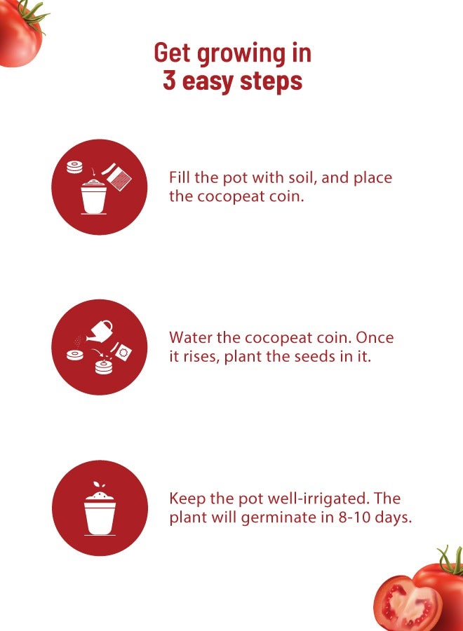 POT & BLOOM Pot and Bloom Gardening Kit - Cherry Tomato Kit. Perfect for Home Garden, Includes - Seeds, Garden Pot, Potting Mix, Nutrition & Protection Spray Gardening Tools Kit For Set  - Image 3