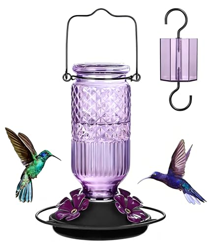 FEED GARDEN Glass Hummingbird Feeder 16 oz Hanging Outdoor Feeder with BeeProof Ports Ant Moat Leakproof Easy to Clean Refill 360 Perch Purple - Image 1