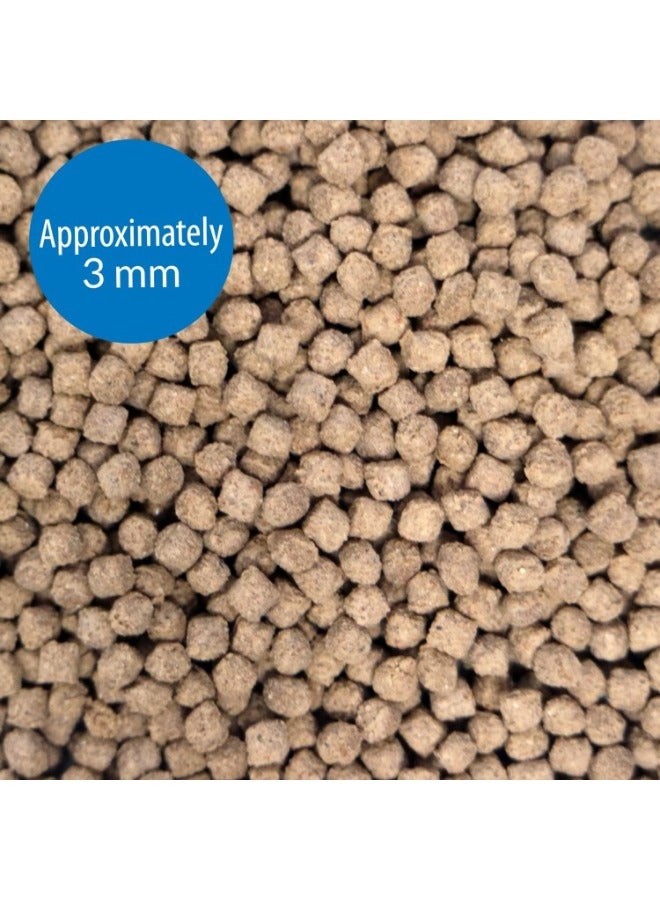 ايه بي آي حبيبات التغذية السفلية مع الروبيان 4 أونصة - Image 2