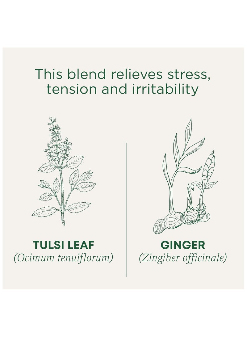 Tm Traditional Medicinals Tea Tulsi Ginger Organic, 16 Teabags - Image 2