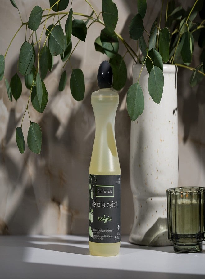 Eucalan Fine Fabric Wash (16.9 Ounce): Eucalyptus - Image 2