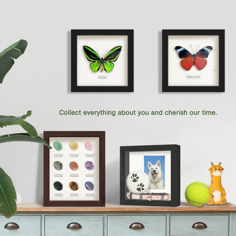 FrameWorks 16" x 20" Original Black Wooden Shadow Box Frame â€“ Soft Felt Back, Tempered Glass, and Included Elegant White Ball Push Pins - Image 5