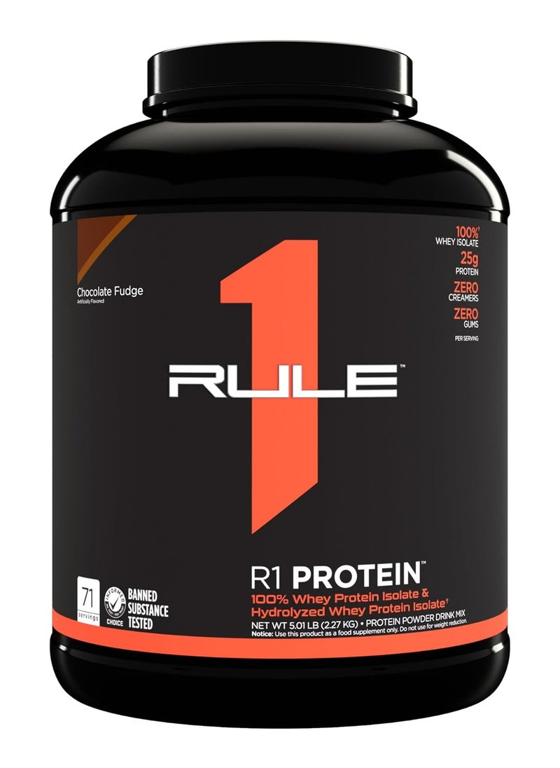 R1 Protein, Chocolate Peanut Butter - 5 lbs Powder - 25g Whey Isolate & Hydrolysate + 6g BCAAs - 72 Servings