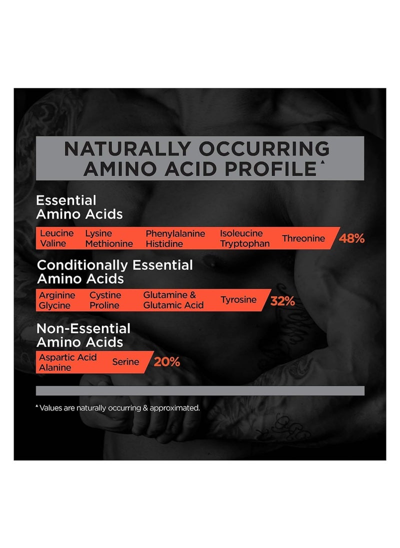 R1 Protein, Chocolate Peanut Butter - 5 lbs Powder - 25g Whey Isolate & Hydrolysate + 6g BCAAs - 72 Servings