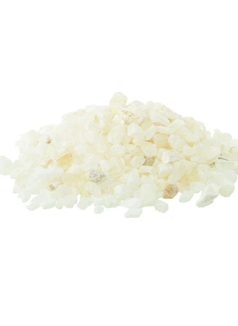 Generic Small Gardening Potted Plants for Plants, Home DIY Decor, Aquarium Gravel, Vase Fillers, Fairy Garden, Landscaping Outdoor Stones 1 Pack (700g) Outdoor Decoration - White 