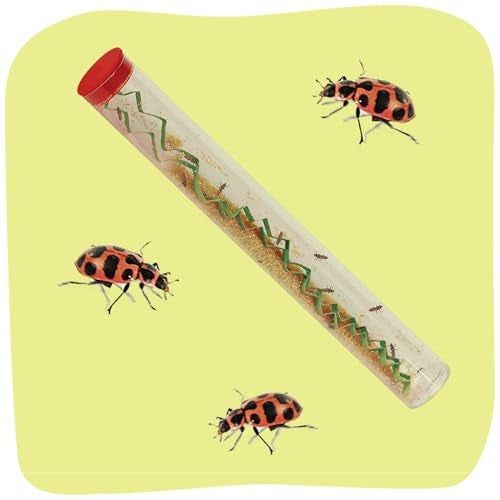 Insect Lore 10-15 Ladybug Larvae - Live Pink Spotted Ladybug Larvae - Grown in USA - Refill for Habitat - Observe, Raise & Release Ladybugs - Image 5