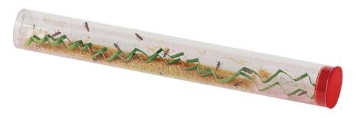 Insect Lore 10-15 Ladybug Larvae - Live Pink Spotted Ladybug Larvae - Grown in USA - Refill for Habitat - Observe, Raise & Release Ladybugs - Image 4