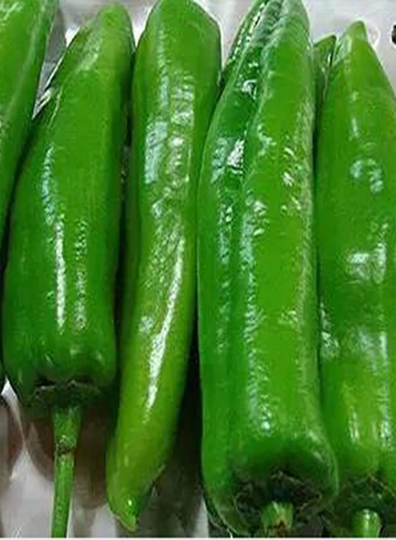 GGOOT 100Pcs/Bag Plant Seeds for Planting, Non-GMO Easy to Grow Small Size Fruit Vegetable Plant Seeds Easy to Plant,Gardening,Home Decor - Hot Pepper Seeds - Image 1