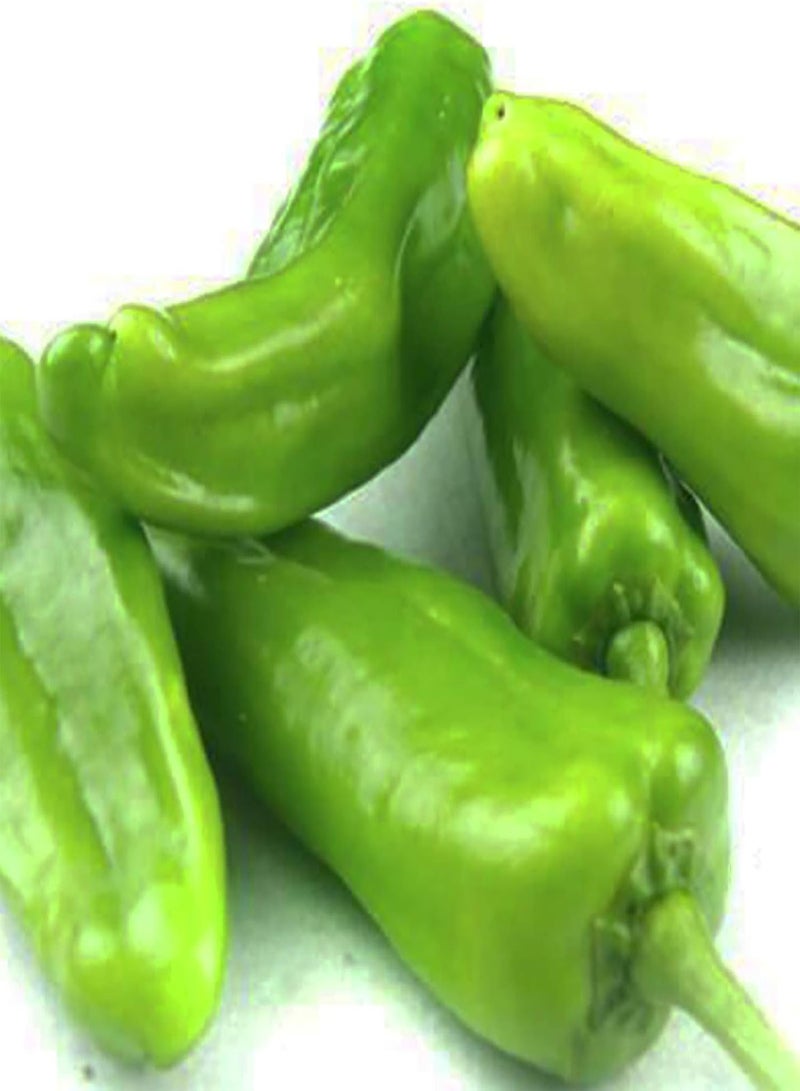 GGOOT 100Pcs/Bag Plant Seeds for Planting, Non-GMO Easy to Grow Small Size Fruit Vegetable Plant Seeds Easy to Plant,Gardening,Home Decor - Hot Pepper Seeds - Image 5