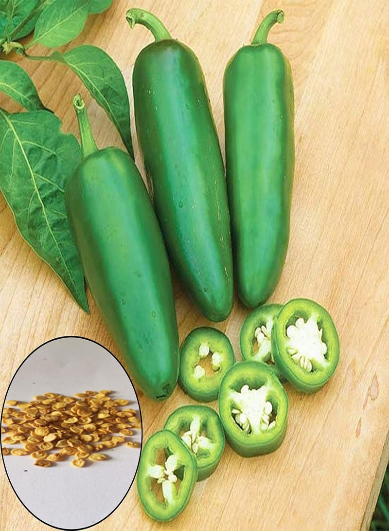 GGOOT 100Pcs/Bag Plant Seeds for Planting, Non-GMO Easy to Grow Small Size Fruit Vegetable Plant Seeds Easy to Plant,Gardening,Home Decor - Hot Pepper Seeds - Image 2