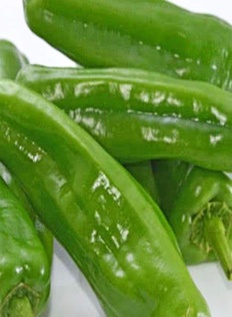 GGOOT 100Pcs/Bag Plant Seeds for Planting, Non-GMO Easy to Grow Small Size Fruit Vegetable Plant Seeds Easy to Plant,Gardening,Home Decor - Hot Pepper Seeds - Image 3