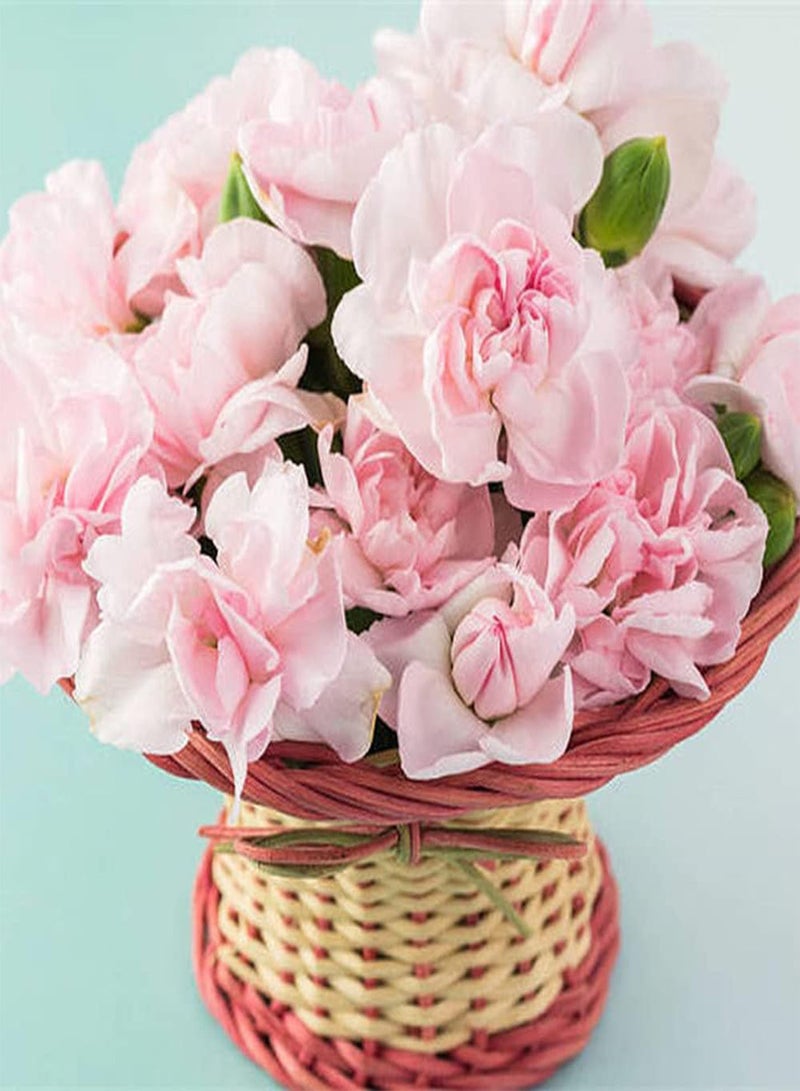 GGOOT 200Pcs Carnation Seeds Pink Dianthus Flowers Exquisite Cut Flower Decorate Your Home Exudes A Charming Fragrance Loved by People - Image 1