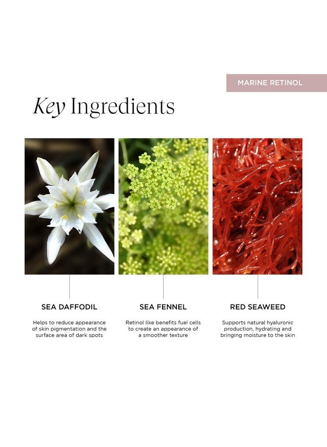 Intelligent Nutrients Vitalisea Time Traveler Facial Serum, Bio-Retinol Anti-Aging Organic Formula, Enhances Cellular Turnover, Vegan, 1 Oz - Image 2