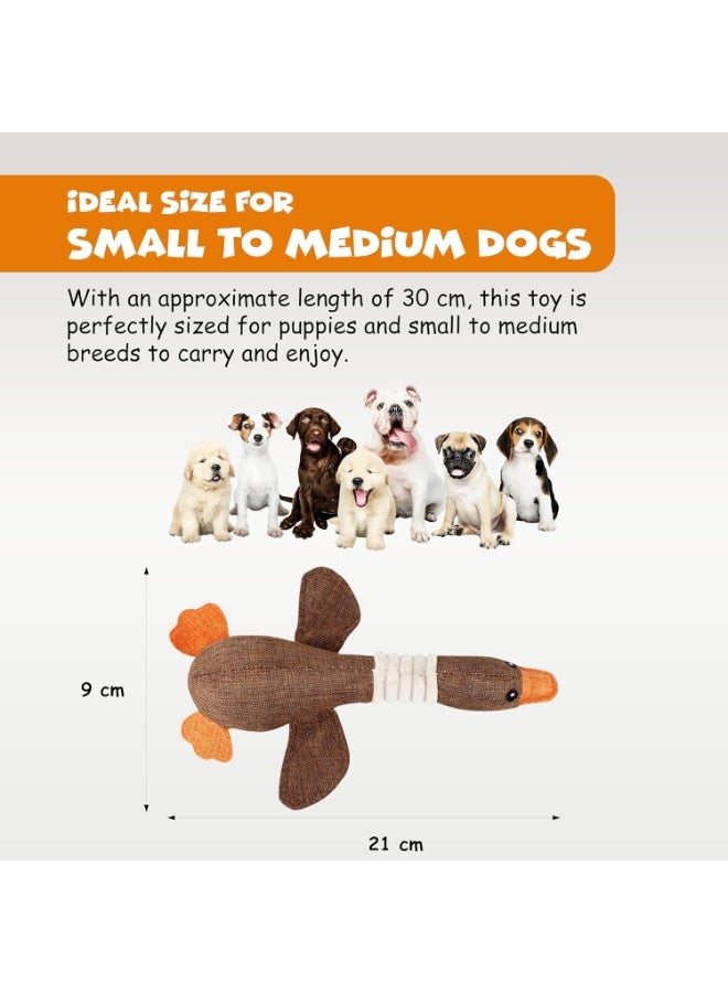 FUNFY Pack of 3 Crinkle Duck Toys for Small and Medium Dogs, Plush Ducks with Soft Squeaker, Fun Indoor Chew and Play Toy, Not for Aggressive Chewers - Image 2