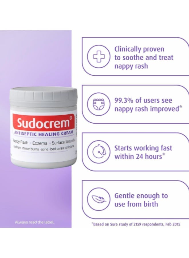 Sudocrem Antiseptic Healing Cream To Protect Rash And Surface Wound - 125g - Image 4