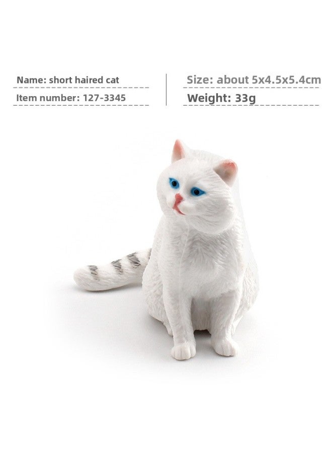 Cross-border Children's Mini Simulation Pet Cat Model Orange Cat Fat Cat British Short-haired Cat Pastoral Cat Decorative Ornaments 