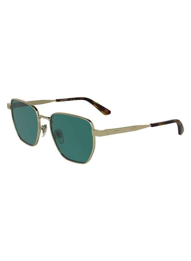CALVIN KLEIN FULL RIM METAL CALVIN KLEIN SUN CK25100S N 5318 (716) LIGHT GOLD - Image 2