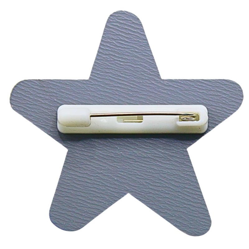 Labworld Performance Shinning Star Badge with Pin to hang on fabrics Label Name plate for kids,adults,school,office and corporate - Image 3