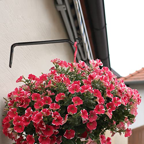 Worth Garden 6-Pack 10" Plant Hanger Bracket - Forged Wrought Iron Powder-Coated Heavy Duty Wall Hook - Black Plant Hanging Hooks - Durable and Stable for Bird Feeders, Planters Indoor & Outdoor - Image 5