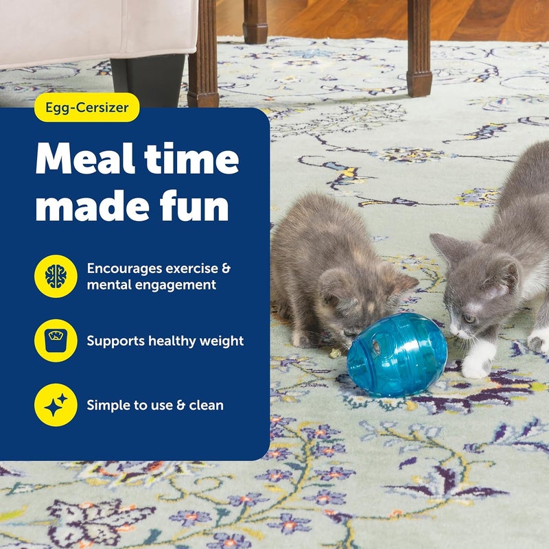 PetSafe FUNKitty Egg Cersizer - Interactive Cat Meal Dispensing Toy for Slow Feeding and Exercise - Image 2