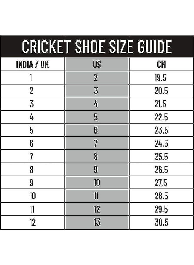 DSC Beamer Cricket Shoes for Mens ,Size 1 UK (Light Weight | Economical | Durable) - Image 2