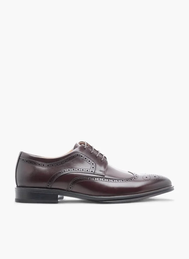 دوتشيني Men's Perforated Derby Shoes with Lace-Up Closure