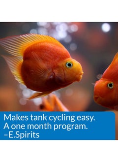 ايه بي آي عبوة بدء تشغيل API AQUARIUM - مُكيّف مياه - زجاجة سعة 1.25 أونصة - عبوة من قطعتين  - Image 5