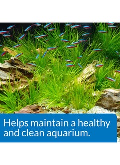 ايه بي آي عبوة بدء تشغيل API AQUARIUM - مُكيّف مياه - زجاجة سعة 1.25 أونصة - عبوة من قطعتين  - Image 3