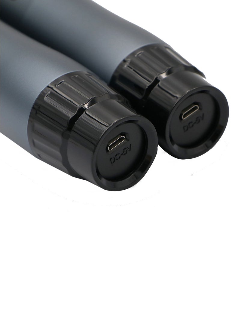 Tronix LD-014 UHF Dual Wireless Handheld Microphone Set
