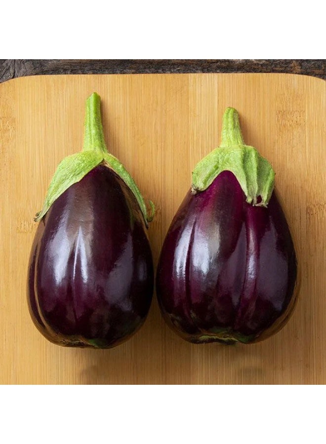 BIOCARVE SEEDS Black Beauty Eggplant Seeds - Image 3