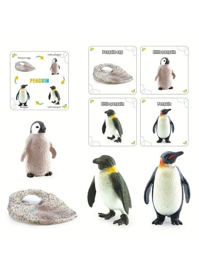 Fantarea Penguin Life Cycle Figurines Model 2481 Educational Toy Set For Kids - Image 2