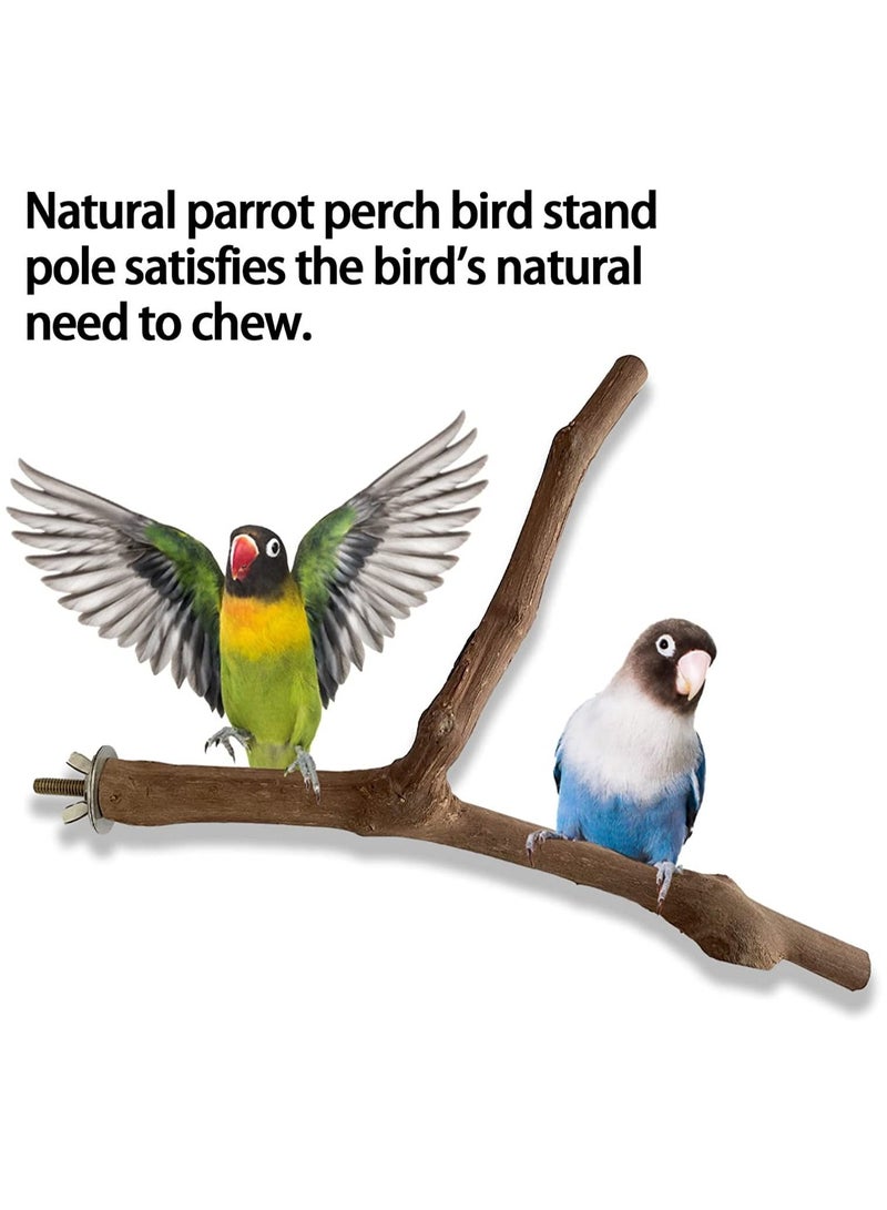 4 Pack Natural Wood Bird Perch Stand Y Shape Stand Wooden Branches Birdcage Stands Bird Perch Nature Wood Toys Small Medium Birds cage accessory for Parrotlets Budgies Cockatiels Parakeets Lovebirds. - Image 3