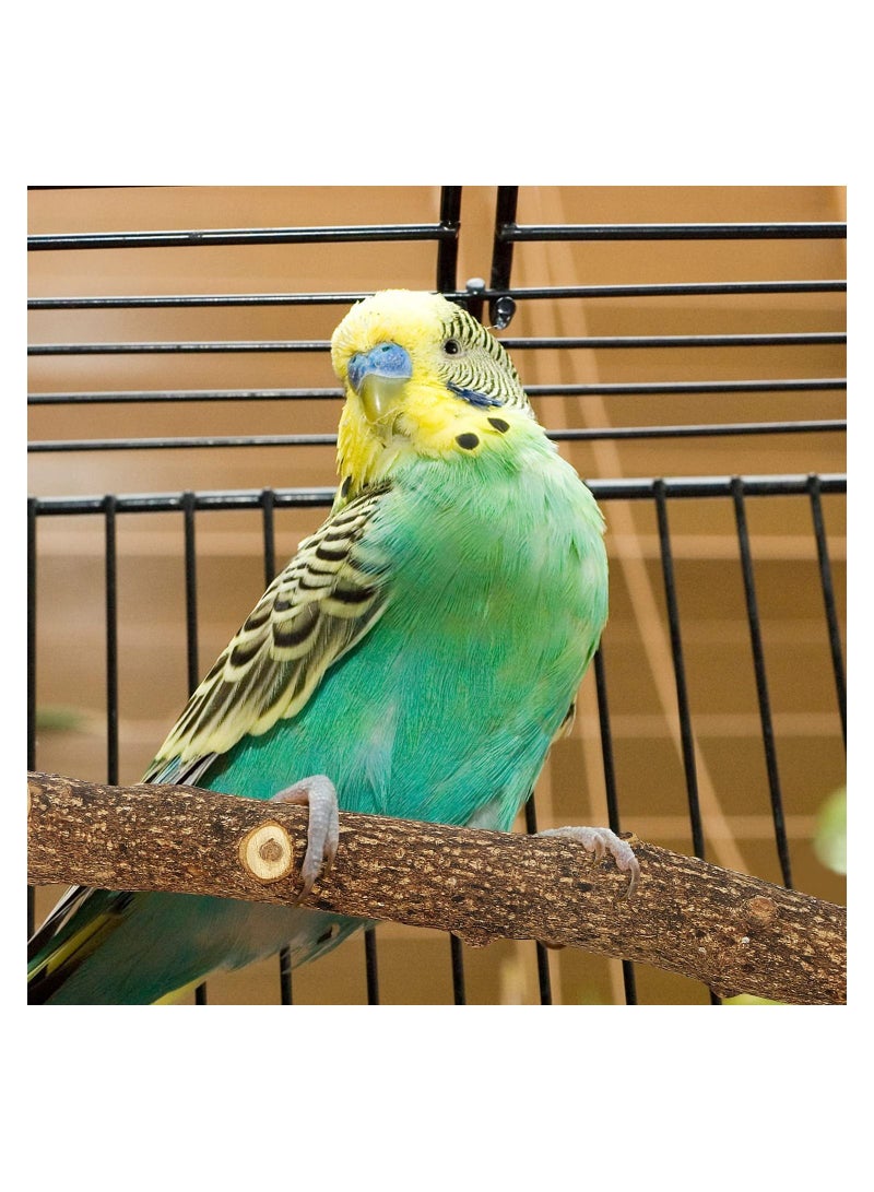 4 Pack Natural Wood Bird Perch Stand Y Shape Stand Wooden Branches Birdcage Stands Bird Perch Nature Wood Toys Small Medium Birds cage accessory for Parrotlets Budgies Cockatiels Parakeets Lovebirds. - Image 4