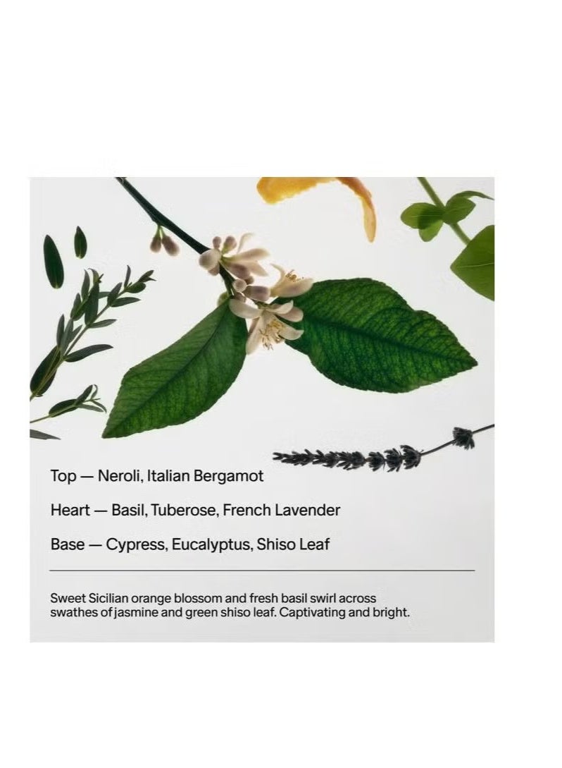 Salt & Stone Natural Deodorant for Women & Men - Neroli & Basil | Extra Strength Natural Deodorant - Image 4