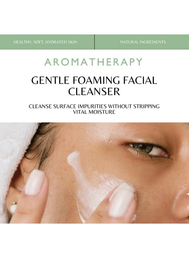 ناتيو منظف الوجه الرغوي اللطيف 3.5 أوقية منظف للوجه مع غسول الوجه بالصبار وخشب الورد لإزالة الزيوت الزائدة ويحافظ على توازن الرطوبة - Image 2