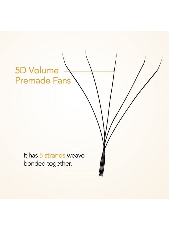 AuReve W Eyelash Extensions C Curl 0.07Mm 8 15Mm Mix Tray W Shaped 5D Volume Premade Fan Lashes Matte Black Cluster Easy Fans Lashes Professional Use Yy Lash - Image 5